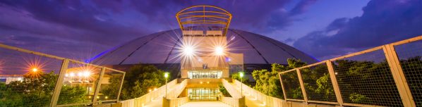 TicketPro Dome Venue pic - Deck & Flooring Expo 2020
